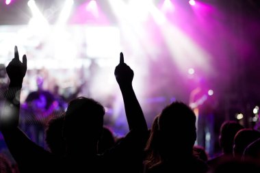 Konserde el kaldıran kalabalık - yaz müzik festivali