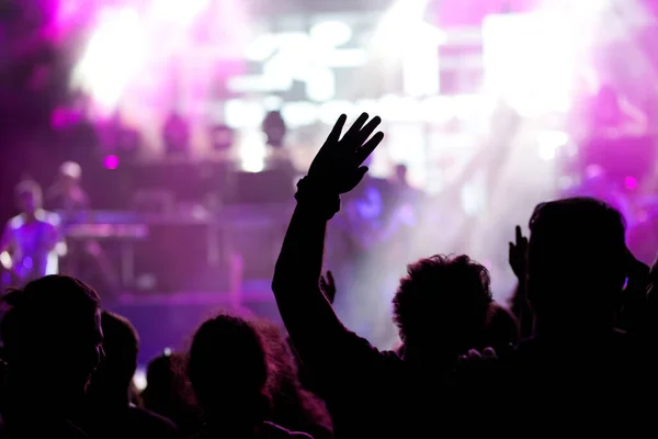 crowd with raised hands at concert - summer music festival