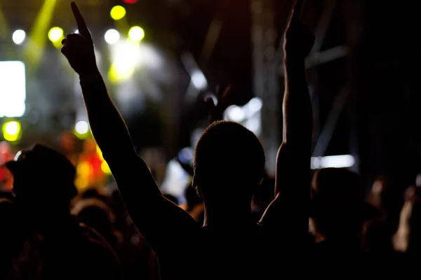 crowd with raised hands at concert - summer music festival