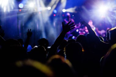 Konserde el kaldıran kalabalık - yaz müzik festivali