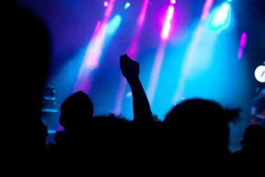 Konserde el kaldıran kalabalık - yaz müzik festivali