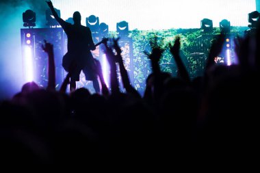 Konserde el kaldıran kalabalık - yaz müzik festivali