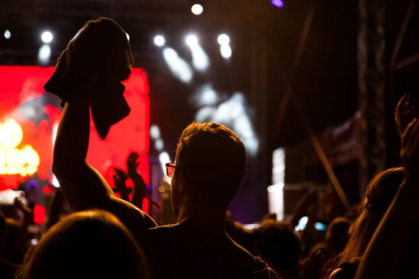 crowd with raised hands at concert - summer music festival