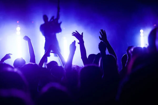 crowd with raised hands at concert - summer music festival