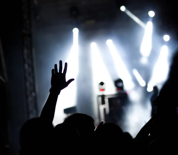 crowd with raised hands at concert - summer music festival