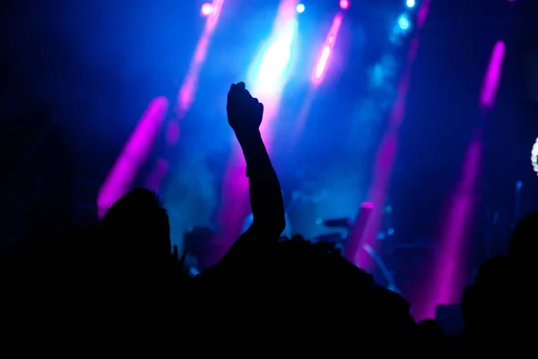 crowd with raised hands at concert - summer music festival