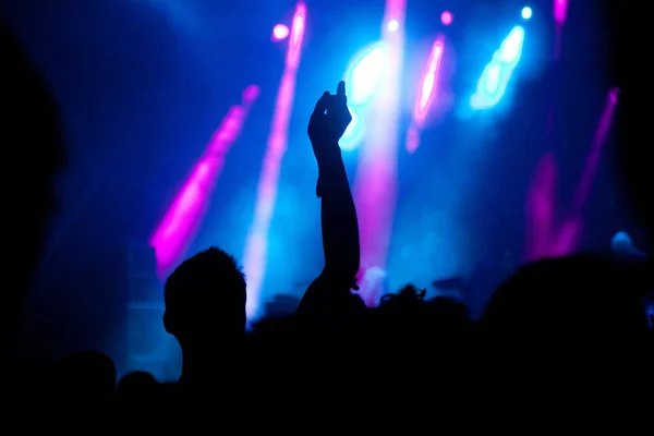 crowd with raised hands at concert - summer music festival