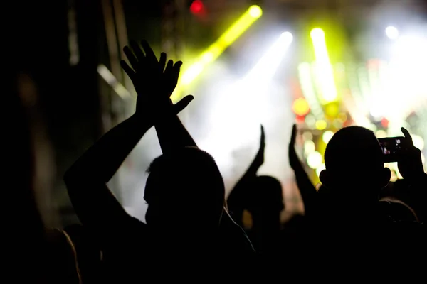 crowd with raised hands at concert - summer music festival