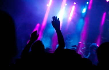 Konserde el kaldıran kalabalık - yaz müzik festivali