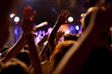 Konserde el kaldıran kalabalık - yaz müzik festivali