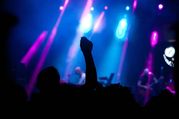 crowd with raised hands at concert - summer music festival