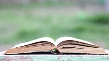 Yeşil bulanık arkaplanı olan kapatma kitabı 