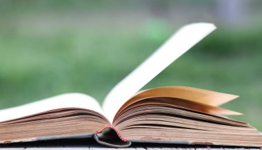 Yeşil bulanık arkaplanı olan kapatma kitabı 