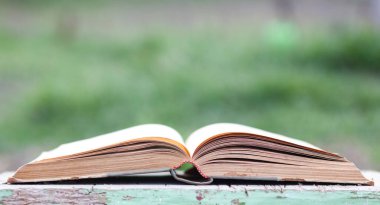 Yeşil bulanık arkaplanı olan kapatma kitabı 