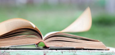 Yeşil bulanık arkaplanı olan kapatma kitabı 