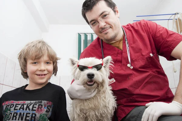Malý chlapec s jeho westie na veterinární lékař — Stock fotografie