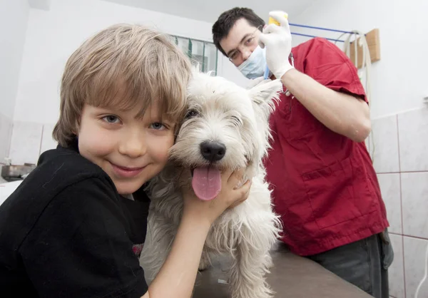 Pequeño niño sosteniendo su Westie en el veterinario — Foto de Stock