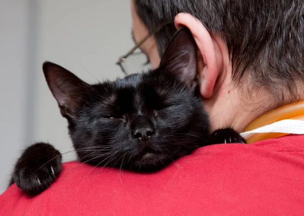 Roztomilá Malá Černá Kočka Veterinární Klinice — Stock fotografie