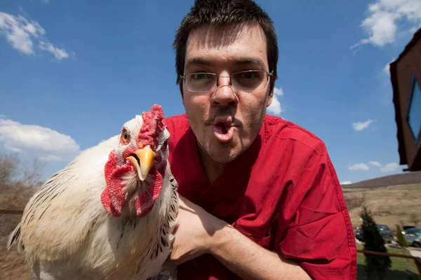 Male Vet Examining Chicken — Stock fotografie