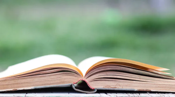 Closeup Book Green Blurred Background — Stock Photo, Image