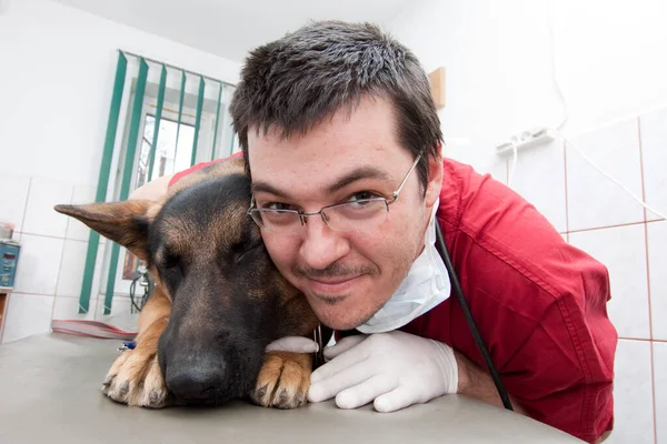 Lindo Perro Veterinario Clínica — Foto de Stock