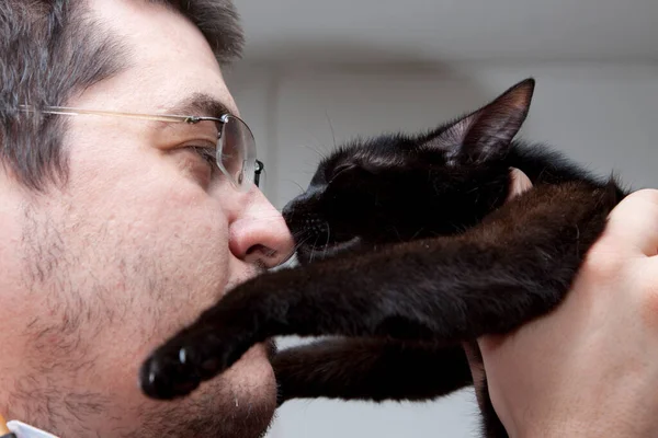 Lindo Poco Negro Gato Veterinario Clínica — Foto de Stock