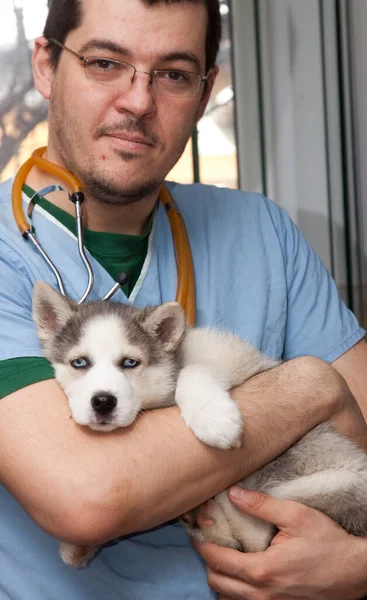 Examining Dog Vet Clinic — 图库照片