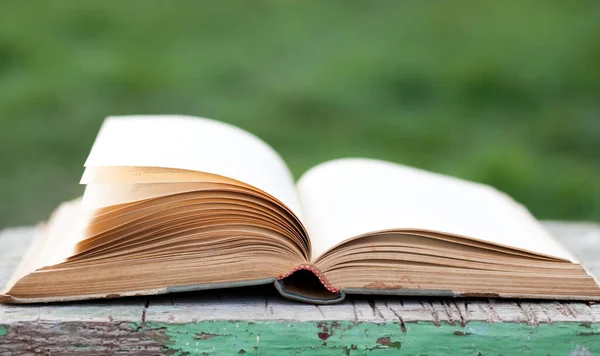 Closeup Book Green Blurred Background — Stock Photo, Image