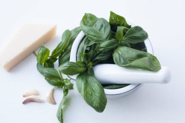 malzemeler pesto alla Cenova - fesleğen, parmesan, sarımsak, zeytinyağı