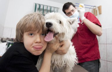 küçük çocuk onun westie veteriner holding