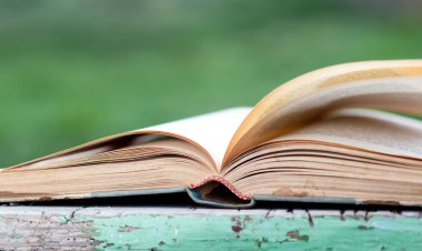 Yeşil bulanık arkaplanı olan kapatma kitabı 