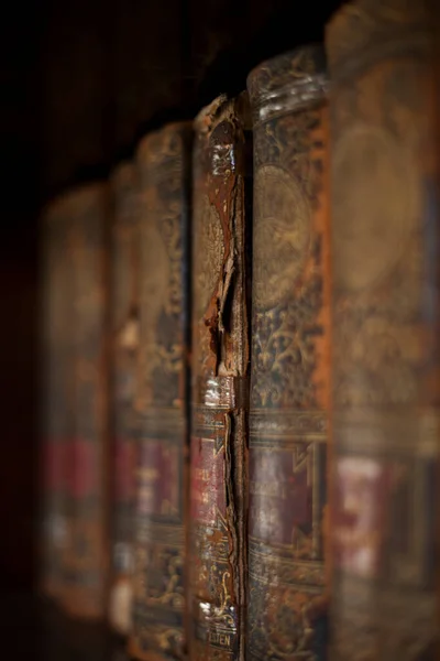 Libros Viejos Biblioteca — Foto de Stock