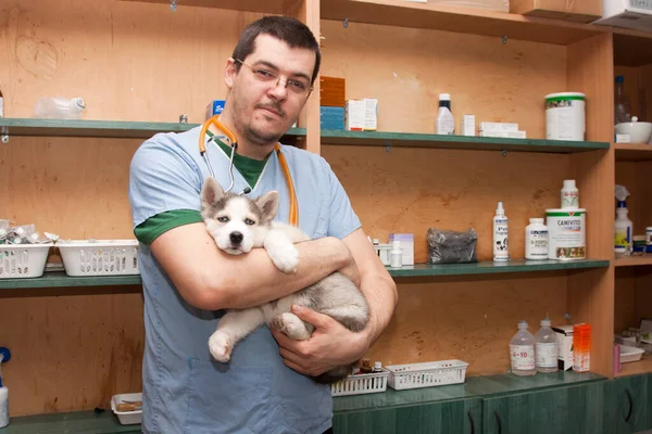 Examining Dog Vet Clinic — стоковое фото