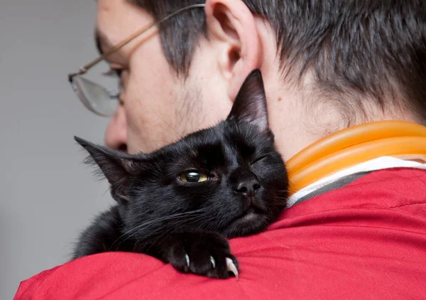 Lindo Poco Negro Gato Veterinario Clínica — Foto de Stock