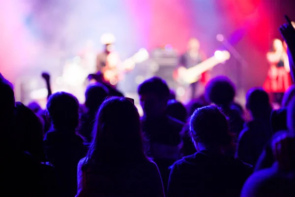 Publikum Hat Spaß Bei Konzert — Stockfoto