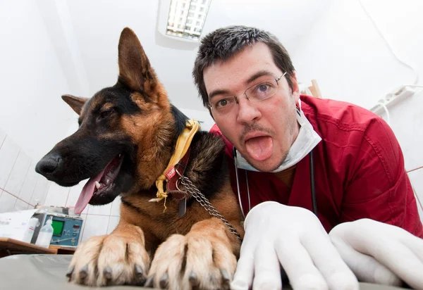 Cute Dog Vet Clinic — Zdjęcie stockowe