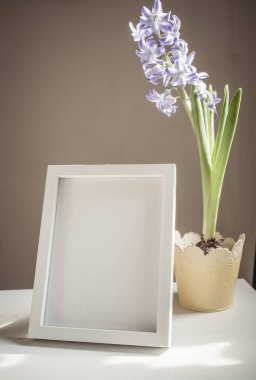 Paskalya baharı hala hayat. Kart maketi, saksıda sümbül, İskandinav iç mimarisi.