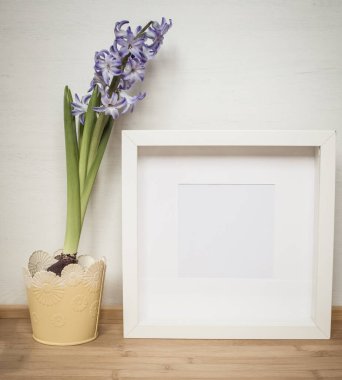 Paskalya baharı hala hayat. Kart maketi, saksıda sümbül, İskandinav iç mimarisi.