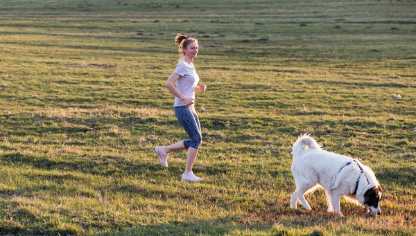 Vrouw Met Witte Hond Genieten Van Zonsondergang Tijd — Stockfoto