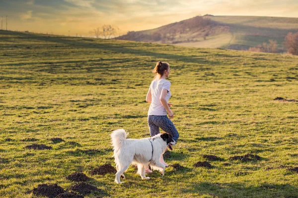 Beyaz Köpekli Kadın Günbatımının Tadını Çıkarıyor — Stok fotoğraf