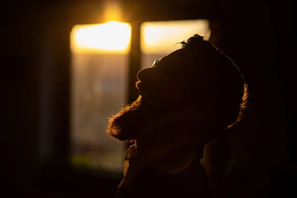bearded man laughing against the sunset at window