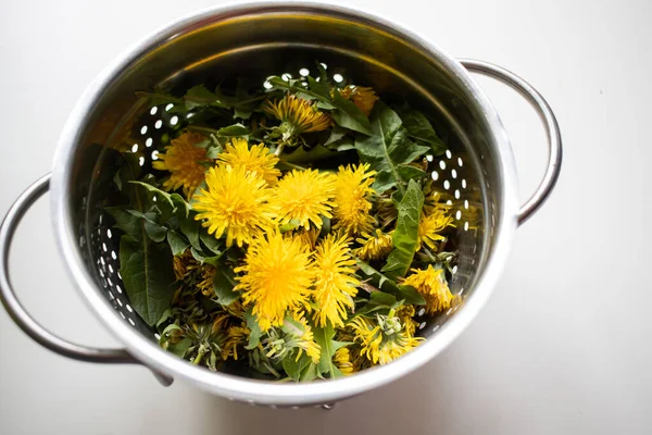 Flores Dente Leão Amarelo Fresco Usadas Medicina Herbal — Fotografia de Stock