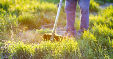Gün batımında çim biçme makinesiyle çim biçme
