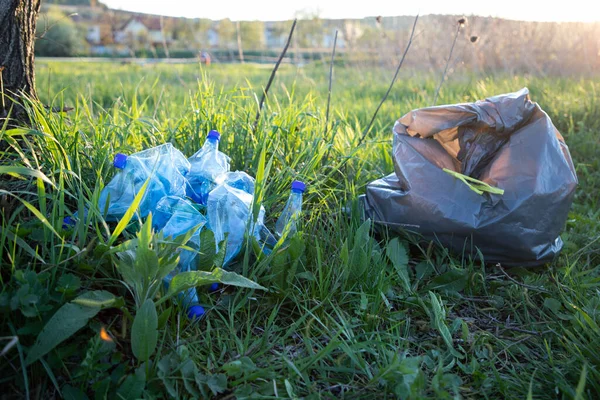 volunteer collecting plastic garbage Earth day