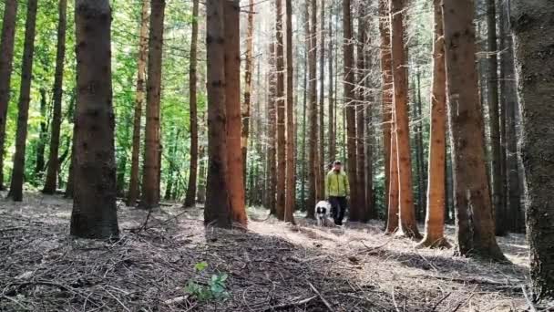 Homem Com Cão Numa Floresta Verde — Vídeo de Stock