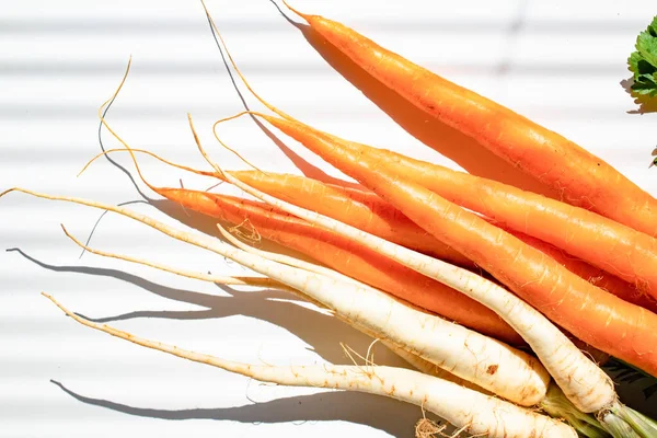 Пучок Свіжої Моркви Петрушки — стокове фото
