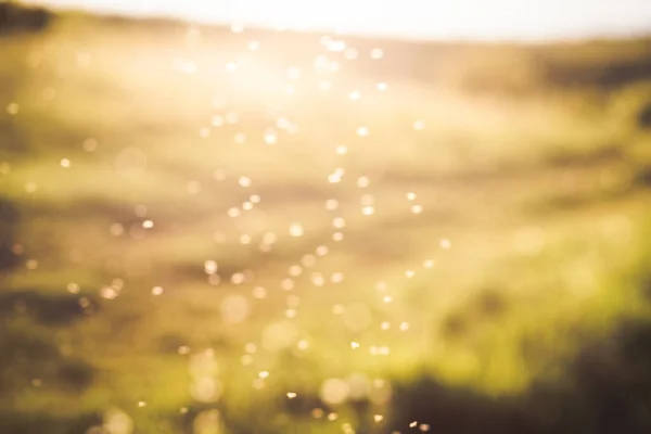 Abstract Bokeh Background Summer Field Sunset — Stock Photo, Image