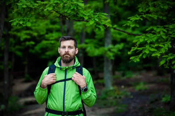 Homme Trekking Dans Forêt Verte — Photo