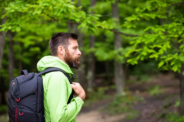 Man Trekking Green Forest — Stock Photo, Image