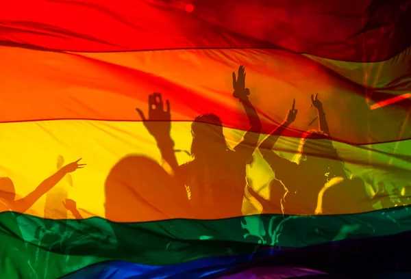 Silueta Desfile Gays Lesbianas Con Bandera Arco Iris Símbolo Amor —  Fotos de Stock